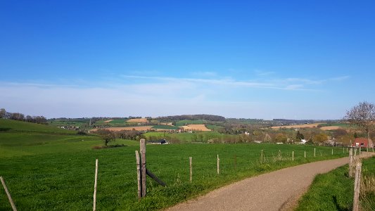 Eys-Eyserbos op de Eyserberg (3)