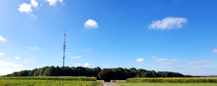 Eys-Eyserbos op de Eyserberg (6)