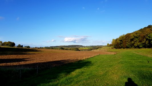 Eys-Eyserbos op de Eyserberg (12)