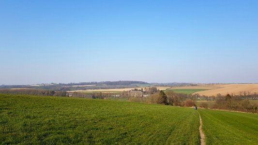 Eys-Eyserbos op de Eyserberg (8)