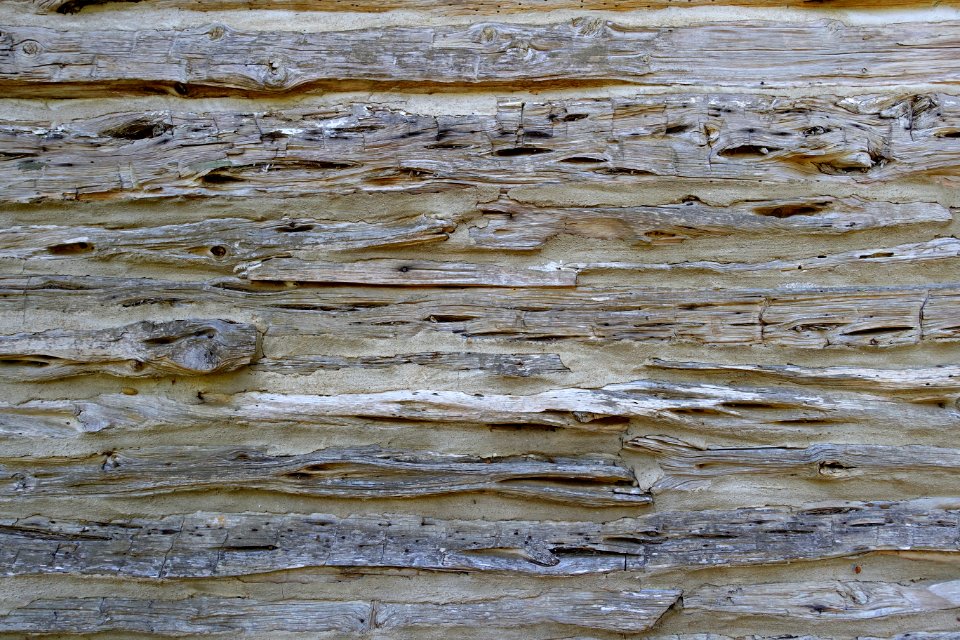 Exterior wall detail - Esperanza School Building - Zilker Botanical Garden - Austin, Texas - DSC08827