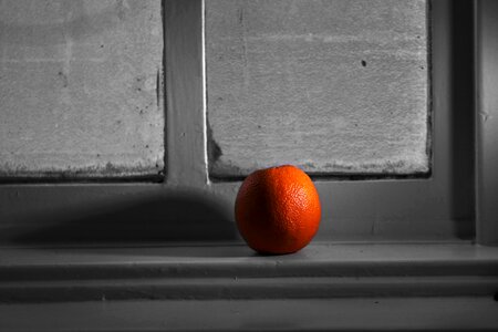 Citrus vitamin macro