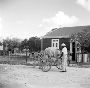 Ezelkar met waterton op Curaçao, Bestanddeelnr 252-7303