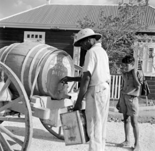 Ezelkar met waterton op Curaçao, Bestanddeelnr 252-7306