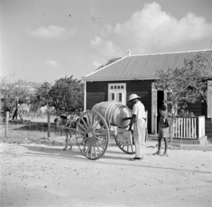 Ezelkar met waterton op Curaçao, Bestanddeelnr 252-7304