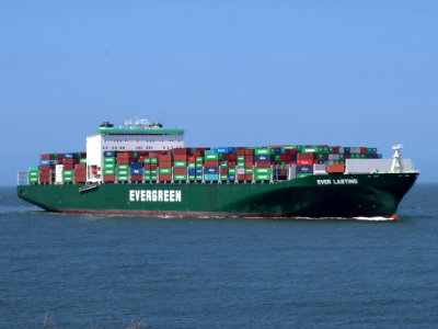 Ever Lasting, IMO 9595450, pic11