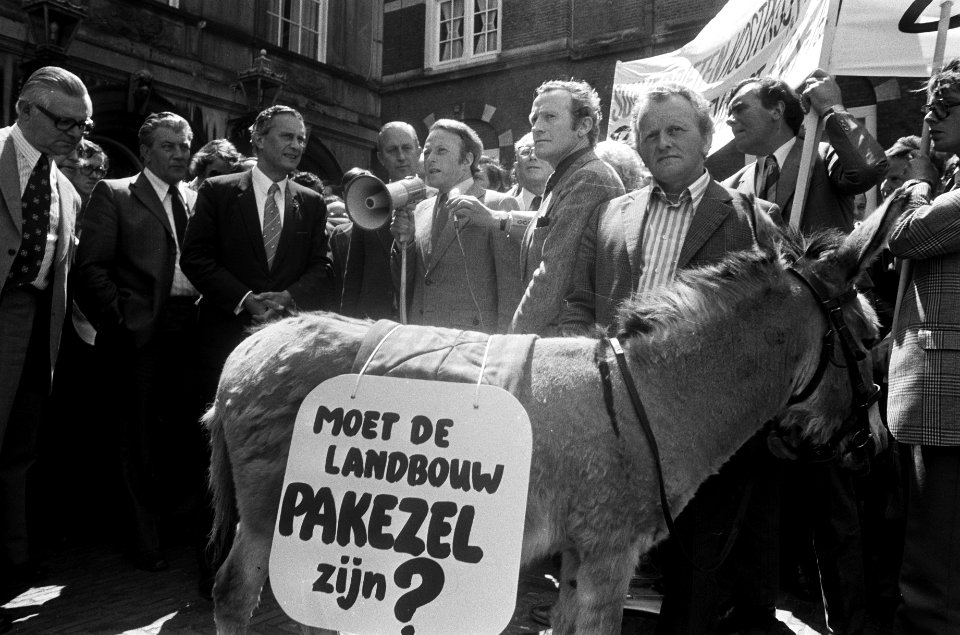 Ezel met spandoek op het Binnenhof, Bestanddeelnr 927-9914
