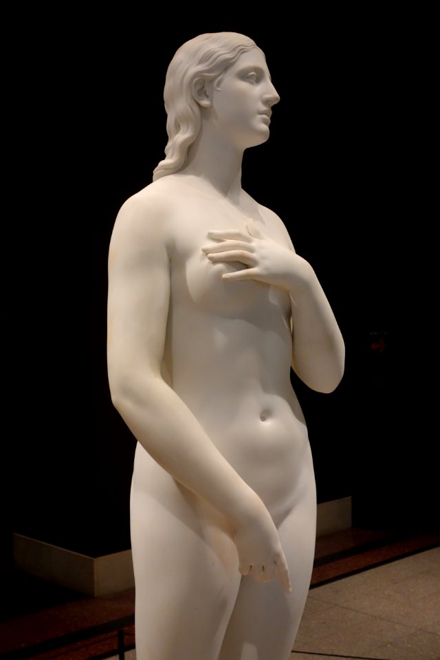 Eve Disconsolate by Hiram Powers, designed 1858-1860, carved 1872-1877, marble - Cincinnati Art Museum - DSC04251