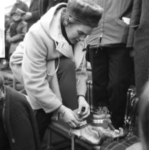 Europese Schaatskampioenschappen te Deventer, vrouw doet stro in haar schoenen, Bestanddeelnr 918-7110
