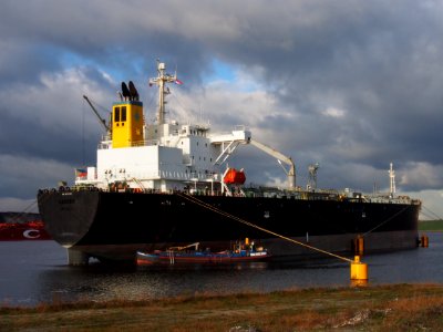 Ex OAKDEN, IMO 9279733 pic3