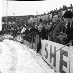 Europese Schaatskampioenschappen te Deventer, publiek op tribune, Bestanddeelnr 918-7107
