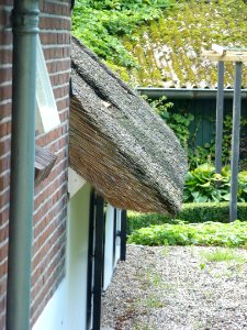 Ewijk (Beuningen, Gld) boerderij Binnenweg 3 detail overstekend rieten dak