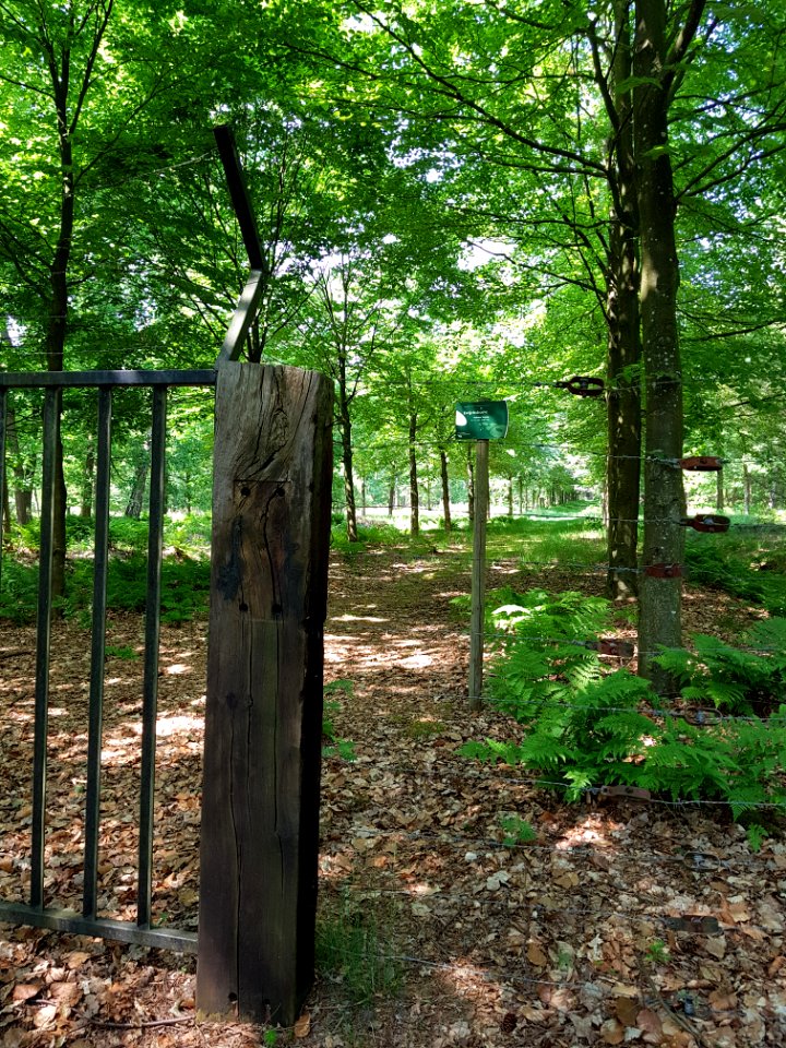 Ewijckshoeve - 2