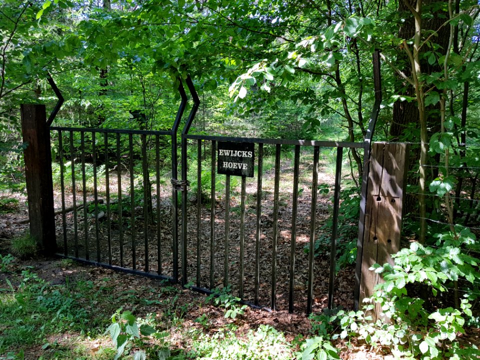 Ewijckshoeve - 1