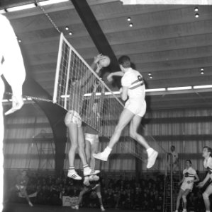 Europese kampioenschappen volleybal te Hengelo, spelmomenten Nederland tegen Fra, Bestanddeelnr 916-2692