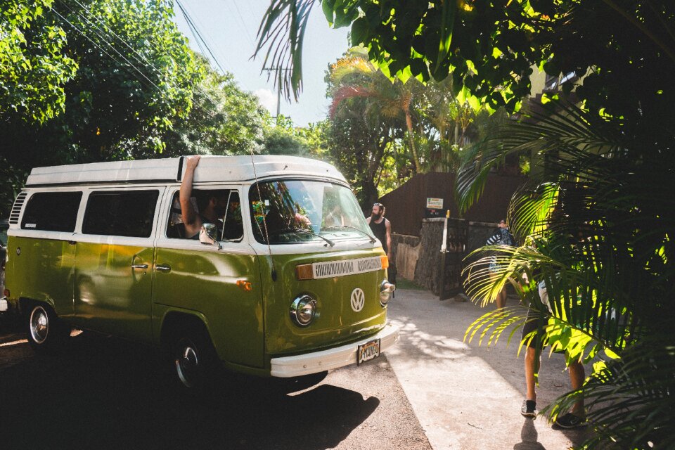 Trip summer tropical