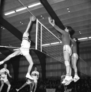 Europese kampioenschappen volleybal te Hengelo, spelmomenten Nederland tegen Fra, Bestanddeelnr 916-2695