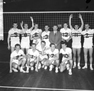 Europese kampioenschappen volleybal te Hengelo, het Nederlands volleybalteam dat, Bestanddeelnr 916-2689