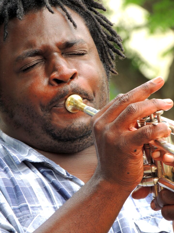 Music musical instrument