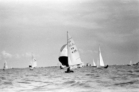 Europese kampioenschappen Flying Dutchman op Zuiderzee, Bestanddeelnr 914-1869