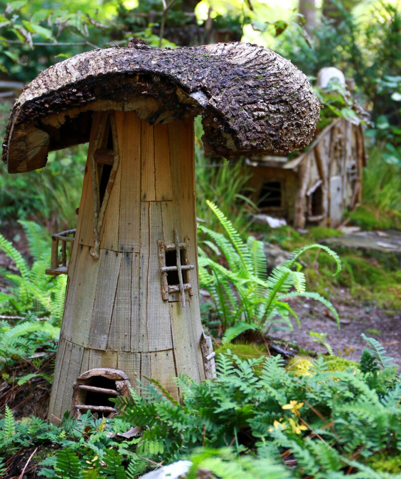 Garvan botanical gardens attraction us