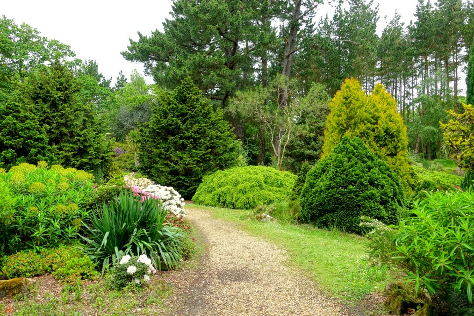 Exbury Gardens - Exbury, England - DSC03773