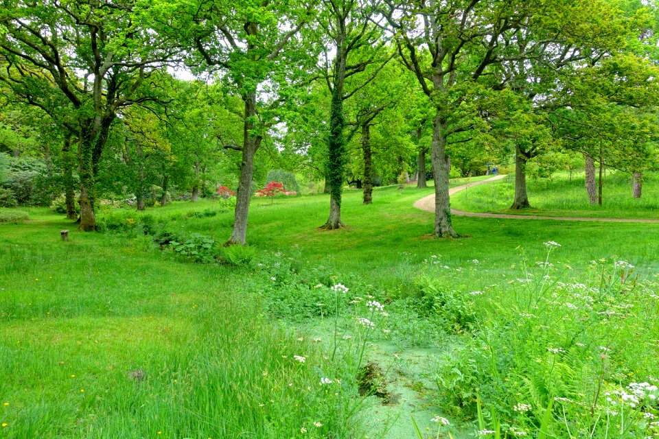 Exbury Gardens - Exbury, England - DSC03835