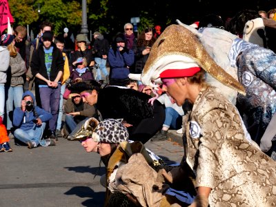 Extinction Rebellion blockade Großer Stern 2019-10-07 74