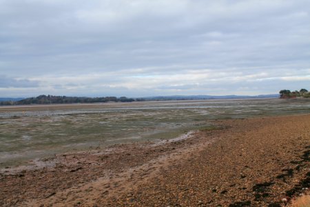 Exe Estuary