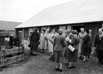 Excursie van de Nederlandse Bond van Plattelandsvrouwen in oktober 1953, Bestanddeelnr 253-6558