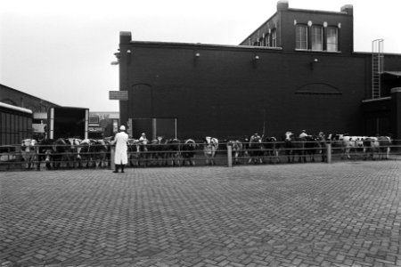 Exterieur van het slachthuis, Bestanddeelnr 928-9938