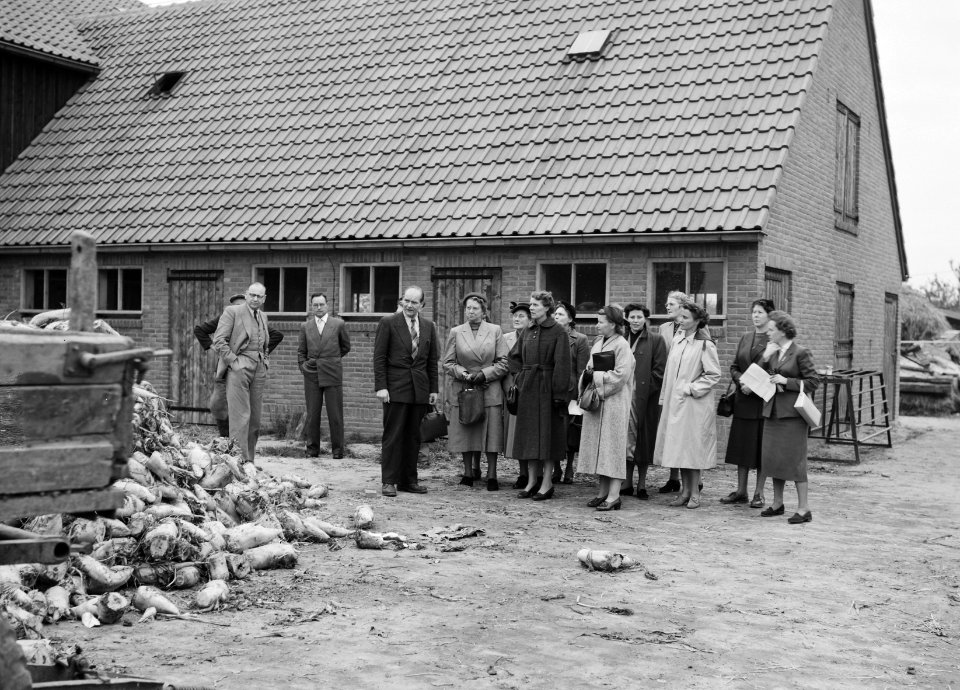 Excursie van de Nederlandse Bond van Plattelandsvrouwen in oktober 1953, Bestanddeelnr 253-6557