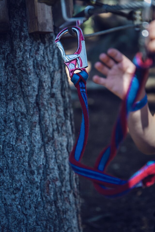 Climbing forest forest high