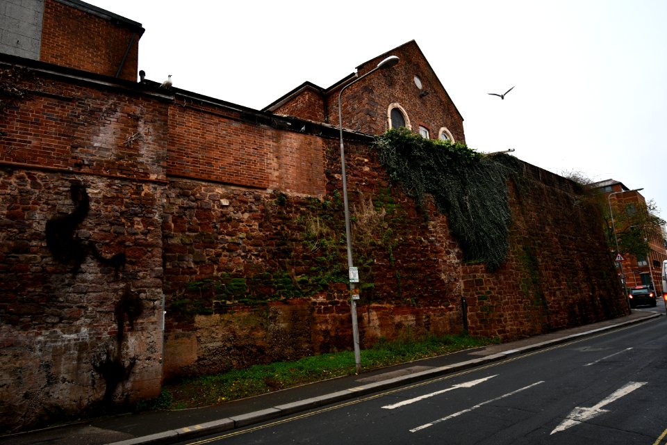 Exeter 2020-12-30 IMG 15
