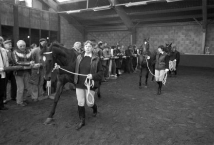 Executieverkoop in manege Zunderdorp van paarden en verdachte ontvoering Heineke, Bestanddeelnr 932-8092