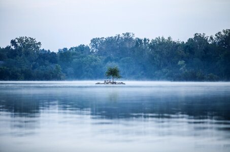 Lonely tree island photo