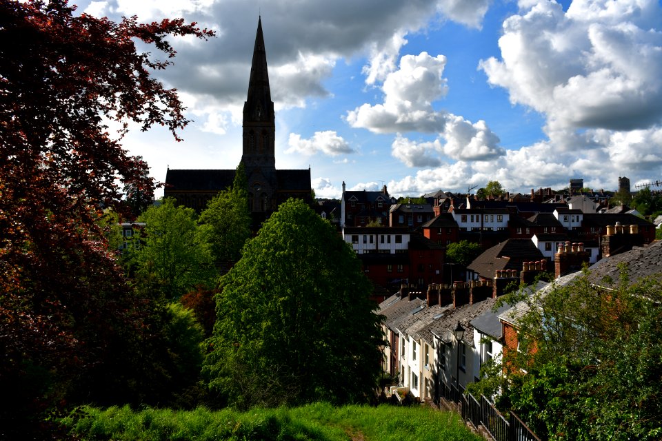 Exeter (2021-05-19) 14