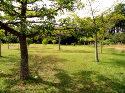 Evolutionary Garden - Jardim Botânico de Brasília - DSC09698
