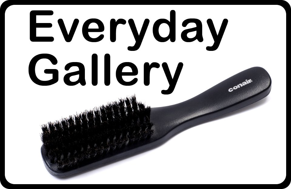 EverydayGallery-Icon