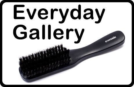 EverydayGallery-Icon
