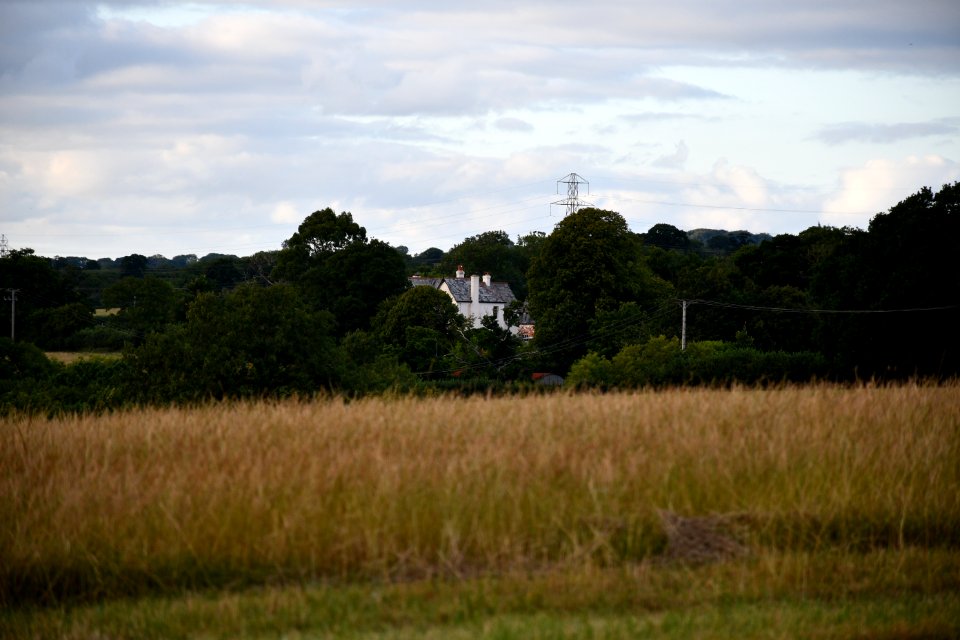 Exmouth 2020-08-01 25