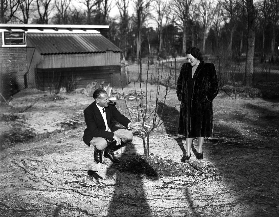 Evert van Dijk als tuinier met zijn vrouw, Bestanddeelnr 901-9893