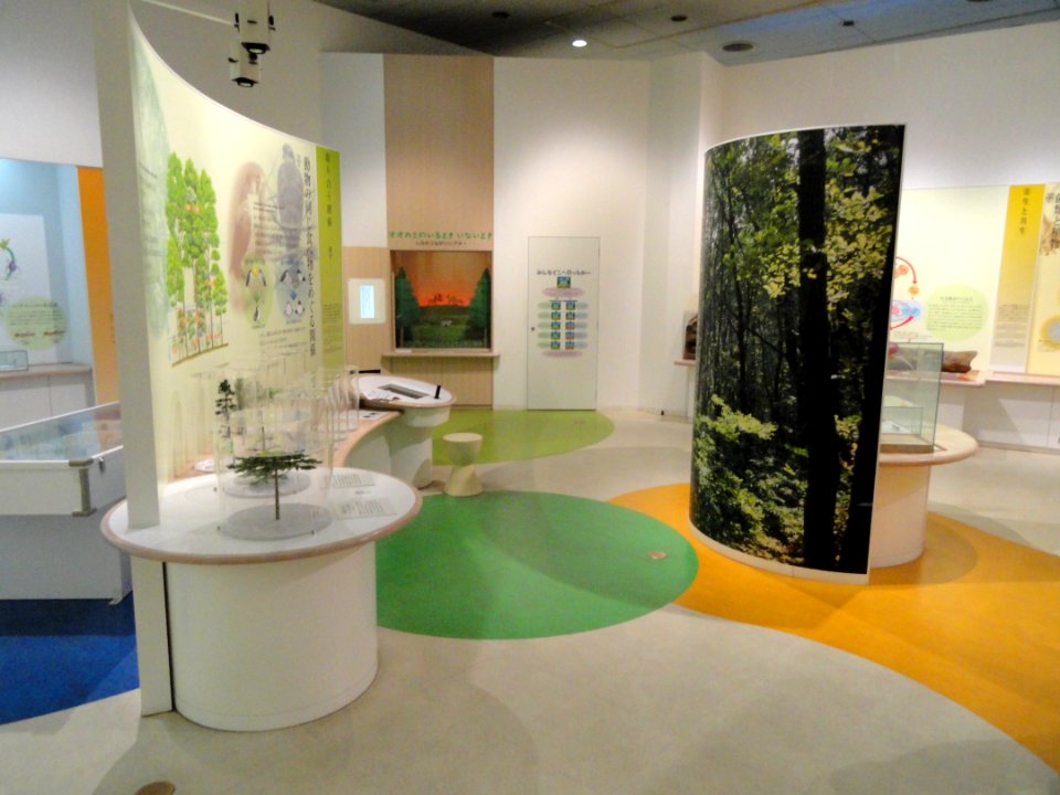 Exhibit room - Osaka Museum of Natural History - DSC07858