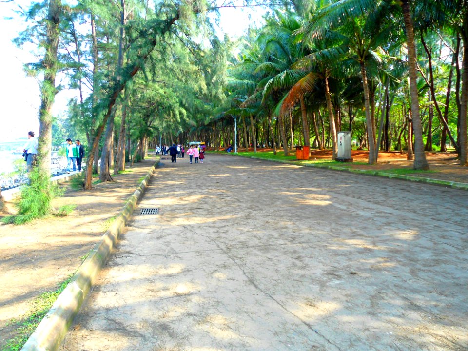 Evergreen Park north road 01
