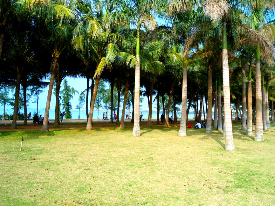 Evergreen Park near north shore 01