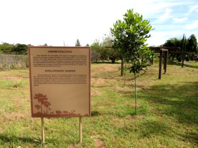 Evolutionary Garden - Jardim Botânico de Brasília - DSC09699