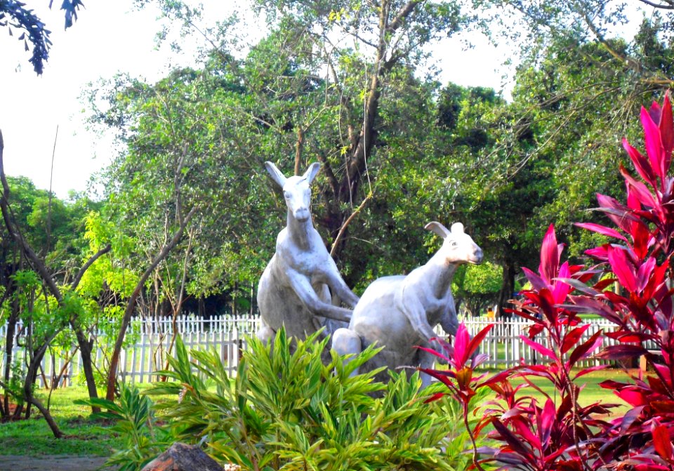 Evergreen Park, Haikou - kangaroo sculptures - 01