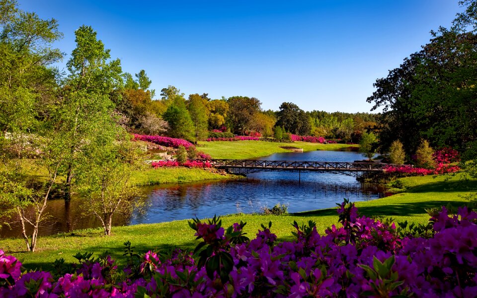 Scenic nature outside