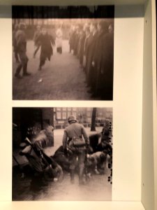 Exhibition The persecution of the Jews in photographs - razzia detail