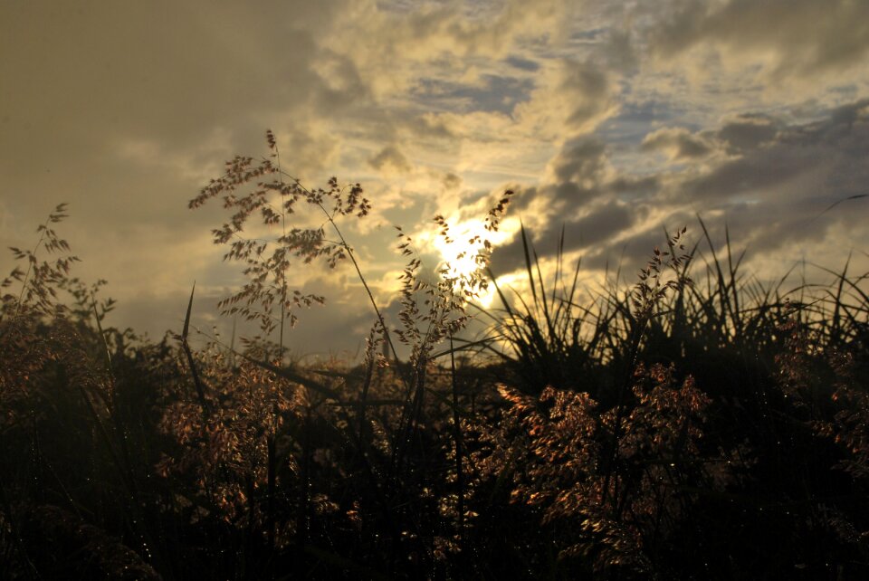Clouds sunset background